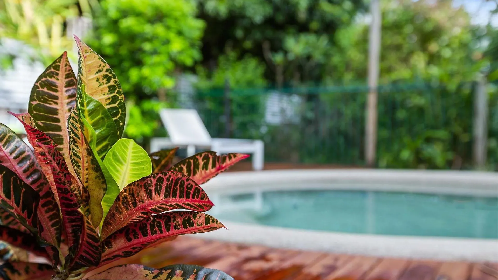 Hideout Machans -Pool Bbq Beach And Pet Friendly Machans Beach